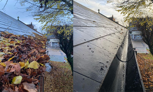 gutter cleaning